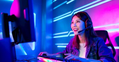 What is an Internet Game? What is an Internet Game?