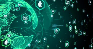 Sustainable Web Design: How to Shrink Your Website’s Carbon Footprint