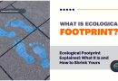 Sustainable Web Design: How to Shrink Your Website’s Carbon Footprint