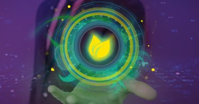 Software Strategies for Sustainable Computing and Carbon-Aware Applications